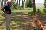 Bauer, Gordon and Oscar, 1998 by New College of Florida