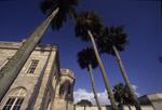 New College Viewbook, Life on Campus, 1999 by New College of Florida