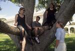 Students in Tree, Fall 1999 by New College of Florida