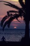 Bayfront at Sunset, March 1981 by New College of Florida