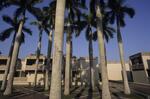 Pei Dorms as Seen Through Palm Court, May 1998 by New College of Florida