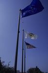 Flags, May 1998 by New College of Florida
