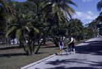 West Campus, January 1974 by New College of Florida