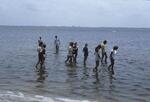 NC Summer Seminar for High School Students, July 1984 by New College of Florida