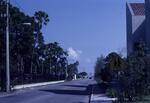 Bay Shore Road by Library, April 1987 by New College of Florida