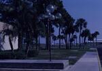 HCL View Towards Airsine "C," April 1987 by New College of Florida