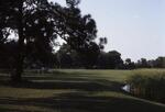 CIT Area, Pond, April 1987 by New College of Florida