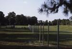 CIT Area, Fence Posts, April 1987 by New College of Florida
