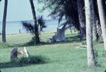 West Campus Bay, October 1979 by New College of Florida