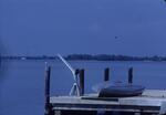 Dock, October 1979 by New College of Florida