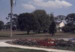 View of Social Sciences Building from College Hall, March 1974 by New College of Florida