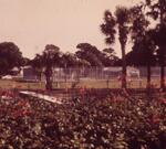 Untitled Slide, January 6, 1977 by New College of Florida