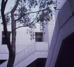 East Campus Dorms, Undated by New College of Florida