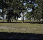 Scenic, November 1981 by New College of Florida