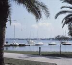 Scenic, November 1980 by New College of Florida