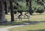 West Campus, September 1980 by New College of Florida