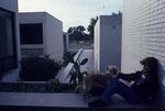 2nd Court, PEI Dorms, January 1977 by New College of Florida