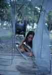 NC Student, May 1977 by New College of Florida