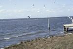 College Hall, Bay, January 1983 by New College of Florida