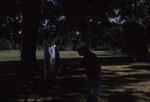 Untitled Slide, December 1987 by New College of Florida