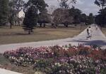 Founder's Circle, March 1974 by New College of Florida
