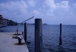 Bayfront, June 1988 by New College of Florida