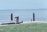 West Campus Bay, September 1980 by New College of Florida