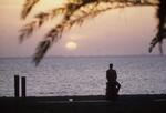 Dock at Bayfront of Campus, July 1981 by New College of Florida