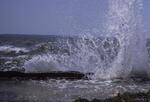 Caples Seawall, Big splash, April 1987 by New College of Florida