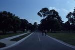 Dort Drive, November 1977 by New College of Florida