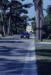 Dort Drive, Febuary 1979 by New College of Florida