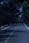 Dort Drive, May 1977 by New College of Florida