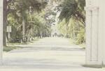 West Campus-Dort Drive, October 1979 by New College of Florida