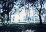 West Campus, May 1973 by New College of Florida