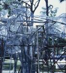 Palmer Dorms, Sculpture Framework, May 1973 by New College of Florida