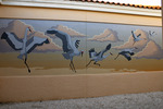 On Site/ Sight Mural; Emma Curtis by Emma Curtis